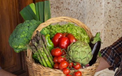 La face cachée des légumes : l’étrange vérité de leur impact sur le cerveau