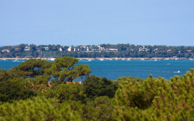 Magie matinale du bassin d’arcachon entre dunes et traditions vivantes