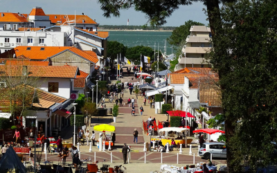 Immersion totale au cœur du bassin d’arcachon et ses trésors