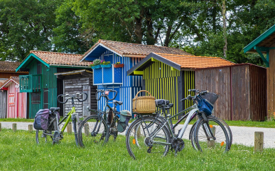 Bassin d’arcachon, joyau du sud-ouest entre dunes et cabanes ostréicoles