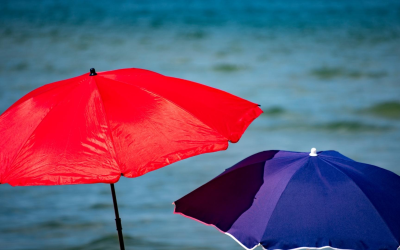 Escapade marine et artisanale au cœur du bassin d’arcachon préservé