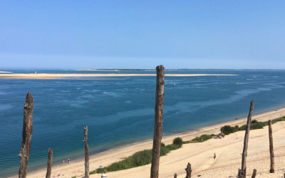 Bassin d’arcachon guide des dunes, huîtres et trésors cachés