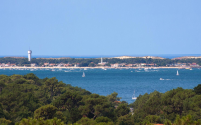 Plongée authentique au cœur du bassin d’Arcachon et ses trésors