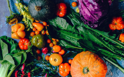 Bio en plein essor : marché, ventes, innovations et enjeux durables