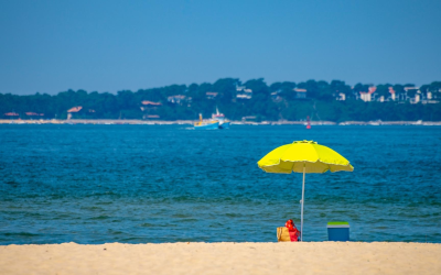 Nature, traditions et évasion au cœur du bassin d’arcachon
