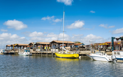 Bassin d’arcachon joyau naturel entre dunes, forêt, traditions et éco-responsabilité