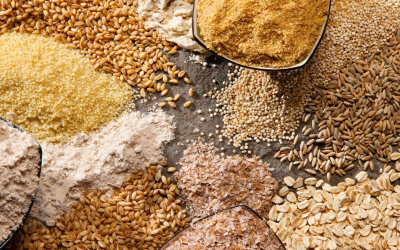 Révolution bio innovations technologiques redéfinissent l’agriculture durable et responsable mondiale