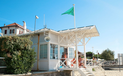 Découvrez le charme authentique du bassin d’Arcachon et ses merveilles