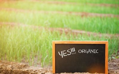 L’agriculture biologique séduit grâce à la demande et aux innovations