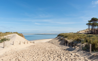 Arcachon, destination idéale entre plages, dunes et traditions vivantes