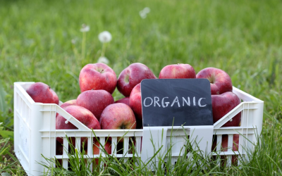 Innover pour verdir les fermes bio face aux défis climatiques