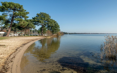 Plongez au cœur du tourisme d’arcachon entre nature et gastronomie