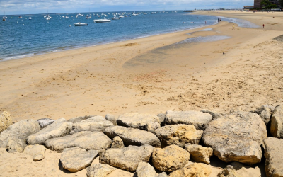 Évasion sur le bassin d’arcachon record de visites et découvertes