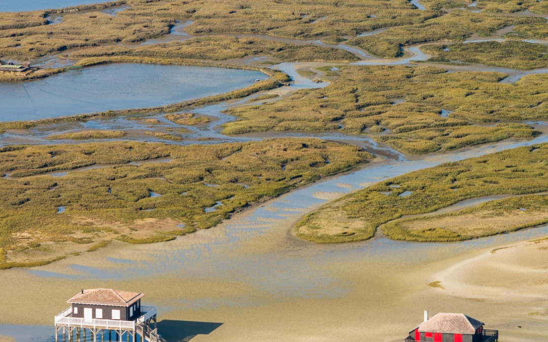 Bassin d’arcachon, invitation à la sérénité marine et découverte