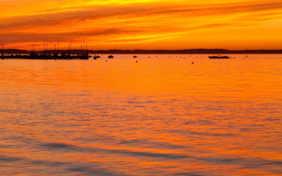 Bassin d’arcachon joyau maritime et oasis nature du sud-ouest incontournable