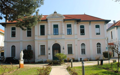 Voyage durable à arcachon entre dunes, forêts et gastronomie ostréicole
