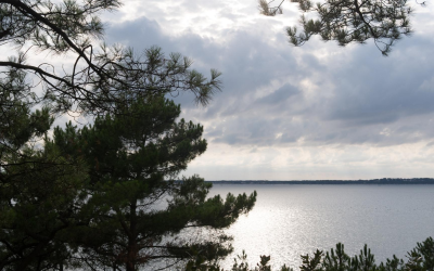Charme authentique du Bassin d’Arcachon entre dunes et océan