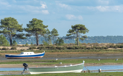 Évasion authentique au cœur du bassin d’arcachon marin et préservé